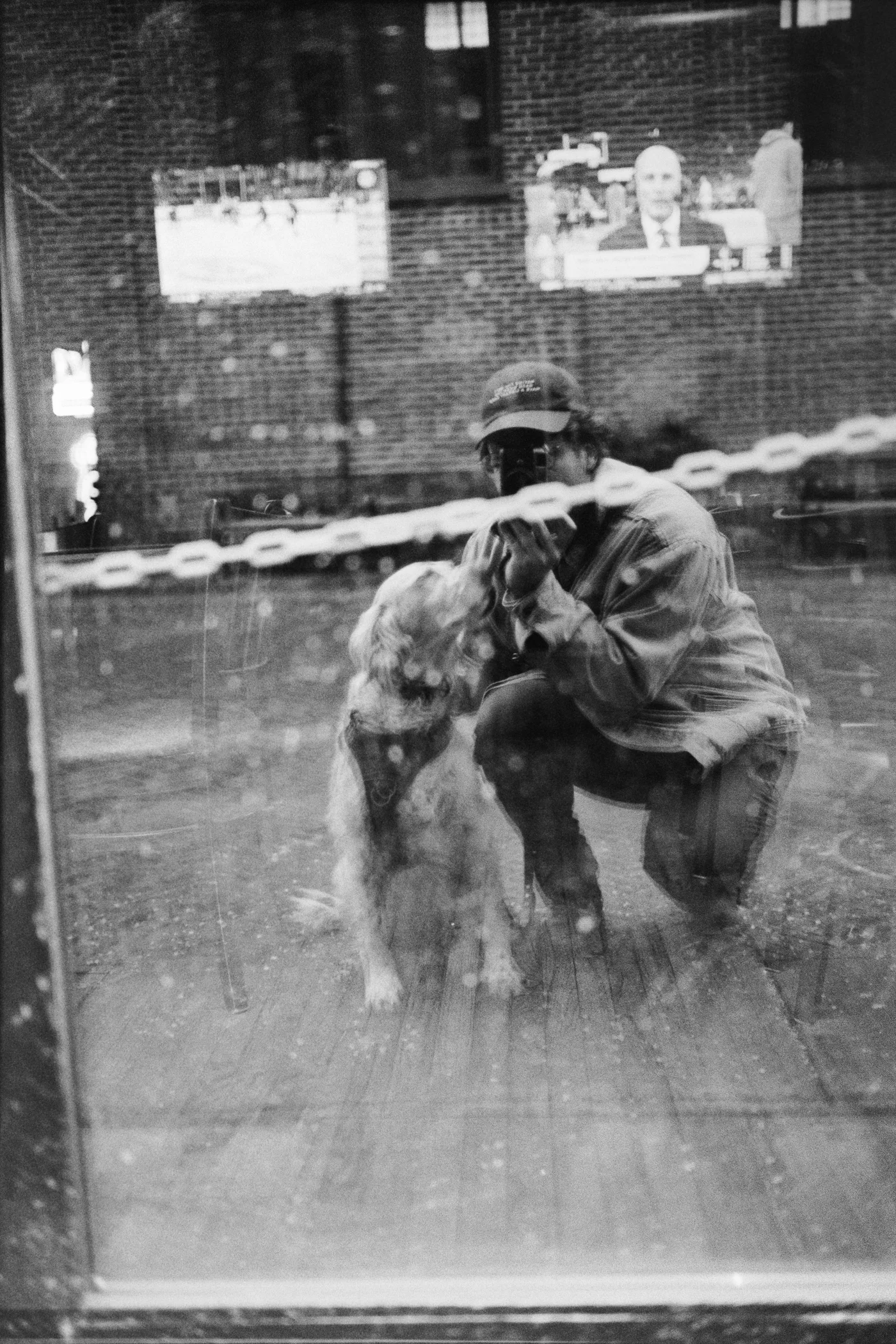 mirror selfie with dog